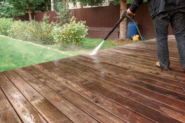 Best Sidewalk and Walkway Cleaning  in Bonadelle Ranchos, CA
